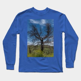 Tree burned by Malibu wildfires Long Sleeve T-Shirt